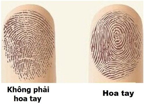 7 Hoa Tay Có Ý Nghĩa Gì? Khám Phá Những Bí Ẩn Đằng Sau Các Hình Xăm Hoa Tay